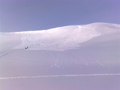 20032010592