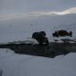 crop-img_3305