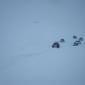 27.02.2010_032__large_