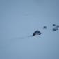 27.02.2010_033__large_