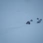 27.02.2010_032__large_