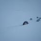 27.02.2010_033__large_