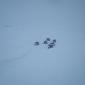 27.02.2010_031__large_