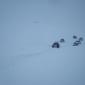 27.02.2010_032__large_