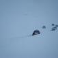 27.02.2010_033__large_