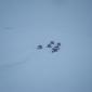 27.02.2010_031__large_