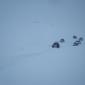 27.02.2010_032__large_