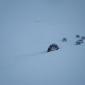 27.02.2010_033__large_