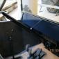 crop-img_0064