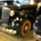 crop-img_0083