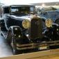 crop-img_0099