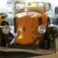 crop-img_0102