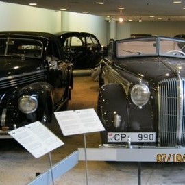 crop-img_0119