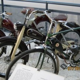 crop-img_0152