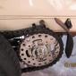 crop-img_0175