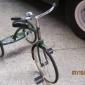 crop-img_0187
