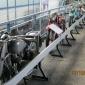 crop-img_0192