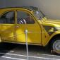crop-img_0196