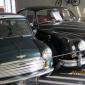 crop-img_0197