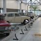 crop-img_0206