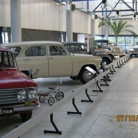 crop-img_0206