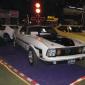 crop-img_0030