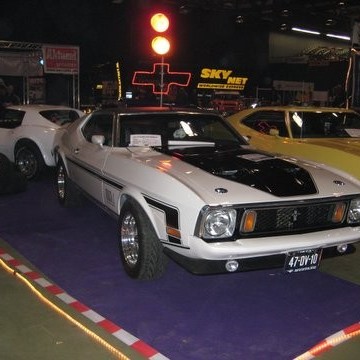 crop-img_0030