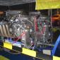 crop-img_0046