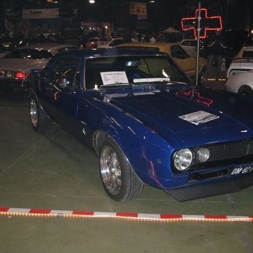 crop-img_0057
