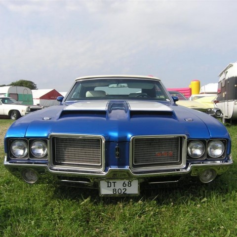 crop-p8026489__large_