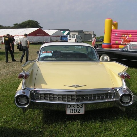 crop-p8026491__large_