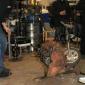 crop-img_7270__large_