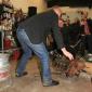 crop-img_7271__large_