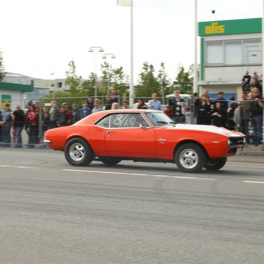 crop-bd_09_329toti9818