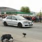 bd_09_491toti0079
