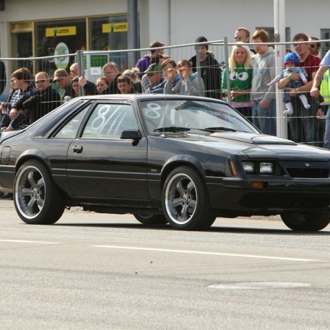 crop-bd_09_242toti9673