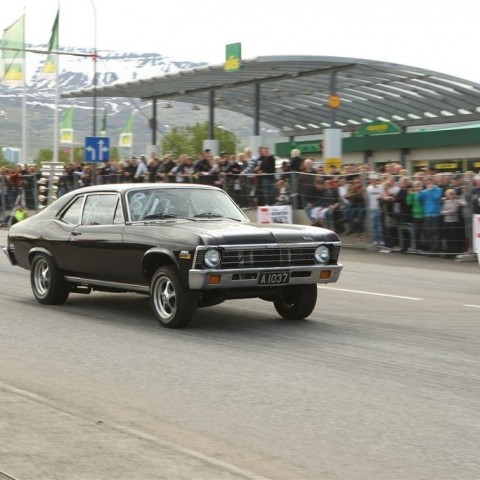 crop-bd_09_335toti9824