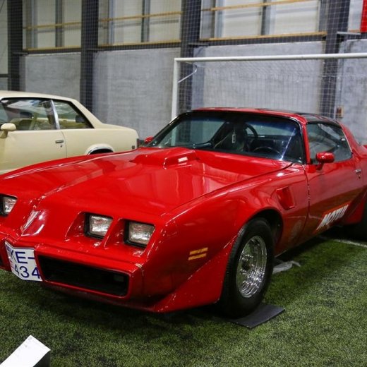 crop-bilasyn_2012_-4725__large_