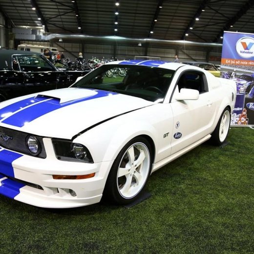 crop-bilasyn_2012_-4734__large_