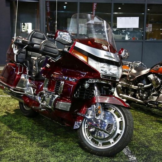 crop-bilasyn_2012_-4884__large_