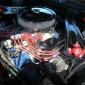 crop-img_0953