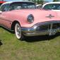 crop-img_0800