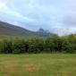 25.07.2012_011__large_
