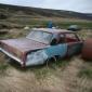 crop-y_30.05.2012__16_