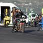crop-img_1164__large_