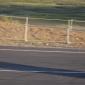 crop-img_1285__large_